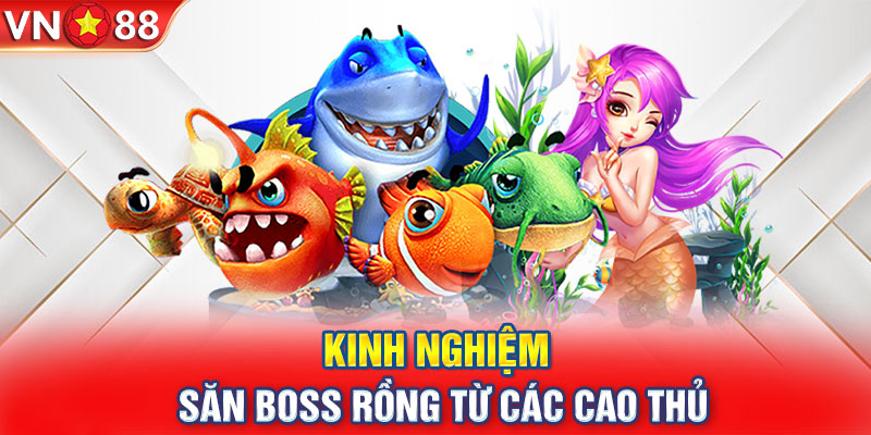 Kinh nghiệm săn boss rồng từ các cao thủ