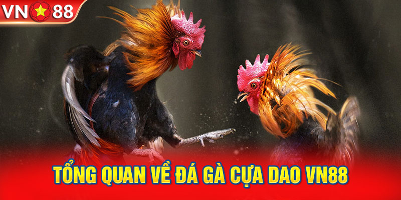 Tổng quan về đá gà cựa dao VN88